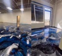 Metallic Epoxy Floor Garage Coatings Sydney 66 Metallic Epoxy Floor Garage Coatings Sydney - 22