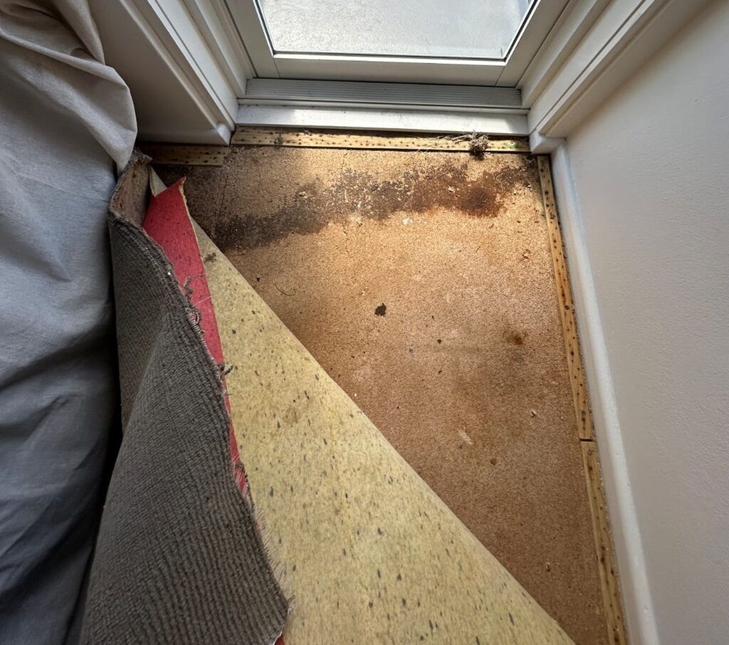 Magnesite Flooring Removal Sydney - Magnesite Flooring Sydney 2