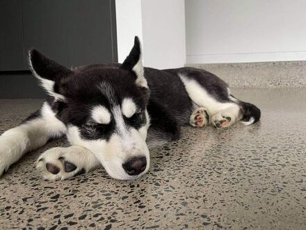 Polished Concrete Floors - 11