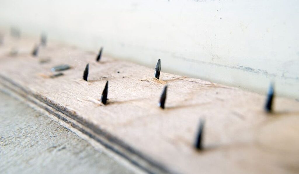 What Is Smoothedge? 2 Carpet Removal Sydney - Smoothedge