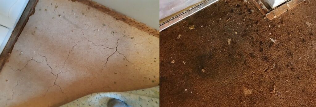 Magnesite Flooring Removal Sydney 8
