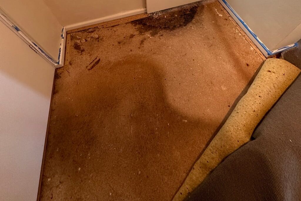 Magnesite Flooring Removal Sydney - Magnesite Flooring Sydney