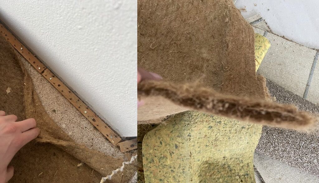 Asbestos Carpet Underlay - Carpet Removal Sydney