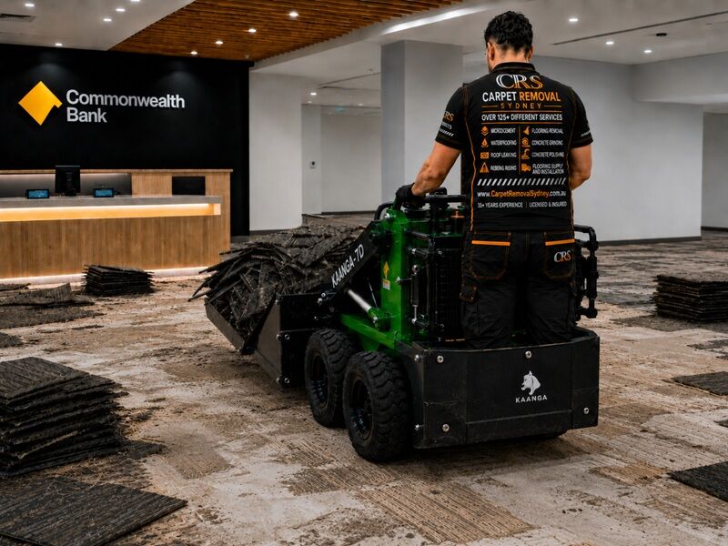Eastern Suburbs 115 Carpet Tile Removal Service In Sydney Service Box Carpet Removal Sydney